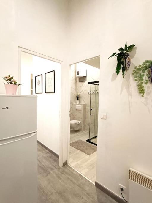 Appartement Gare Saint Charles מרסיי מראה חיצוני תמונה